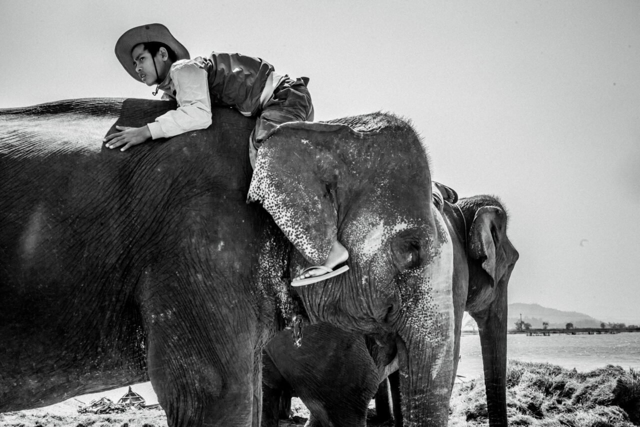 1397058_606702936042602_1321030464_o