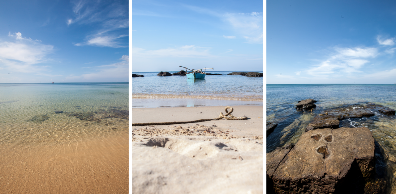 Screen Shot 2021-10-22 at 8.44.44 AM